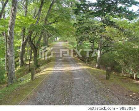The path of Yoshitsune Shrine The path of Yoshitsune Shrine 9883084