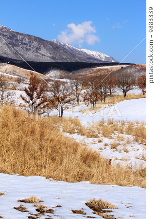 Winter noase book highland 9883339