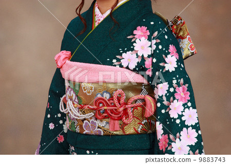 Kimono 9883743