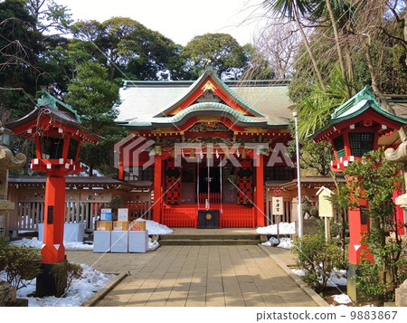 早春的江之島 9883867