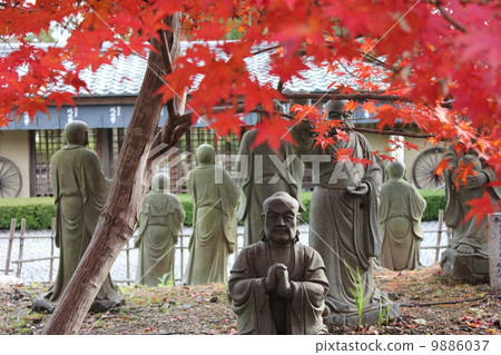 Rokuin Arashiyama 9886037