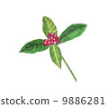 Red fruit 9886281