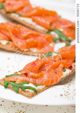 Salted salmon on crispy bread with cheese and arugula 9886733