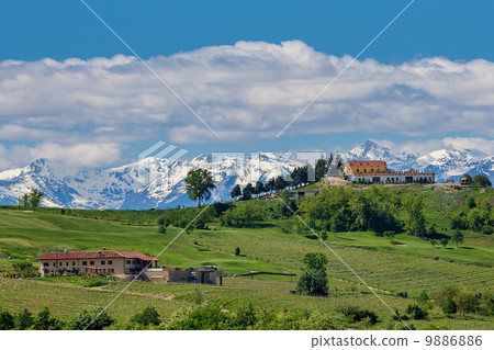 Green fields and mountains in Piedmont, Italy. 9886886