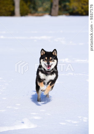 Have fun~♪ 9887576