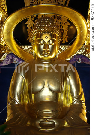 Shakanyorai 9887756
