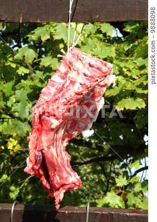 fresh raw meat fresh raw meat 9888098