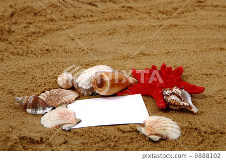 sand, shells and white paper sand, shells and white paper 9888102