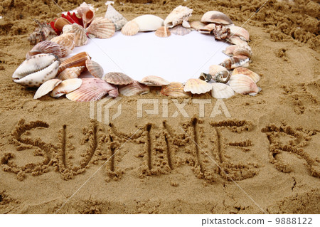 frame from the sand and shells 9888122