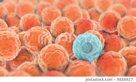 Infected cell 9888927