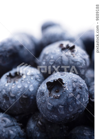 Blueberries Blueberries 9889188