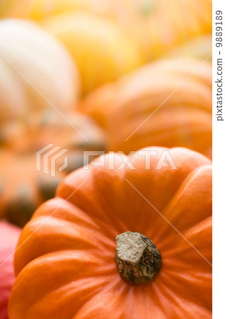 Pumpkins background Pumpkins background 9889189