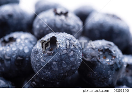 Blueberries Blueberries 9889190