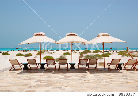 Sunbeds and umbrellas at the Beach of luxury hotel, Abu Dhabi, U Sunbeds and umbrellas at the Beach of luxury hotel, Abu Dhabi, U 9889337