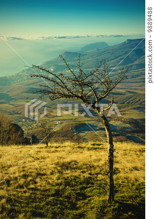 Mountain autumn sunrise Mountain autumn sunrise 9889488