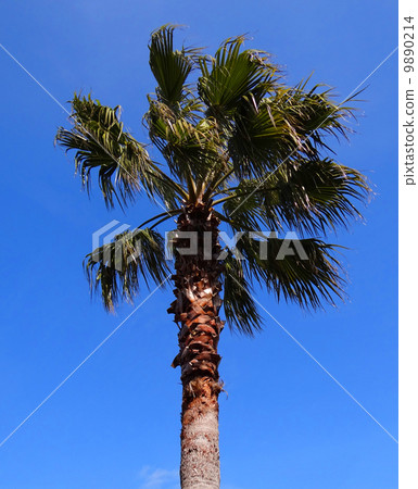 城市流行圖片 9890214