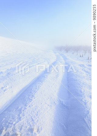 Winter in orchard Winter in orchard 9890255