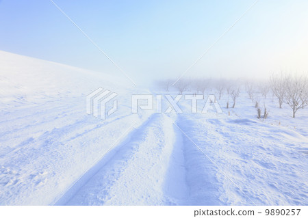 Winter in orchard Winter in orchard 9890257