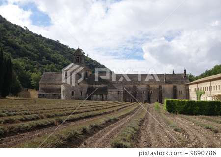 France, South France, Gordes, Senanque Abbey 9890786