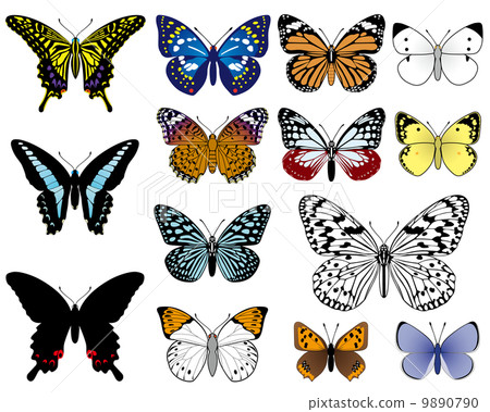 Japanese butterfly Japanese butterfly 9890790