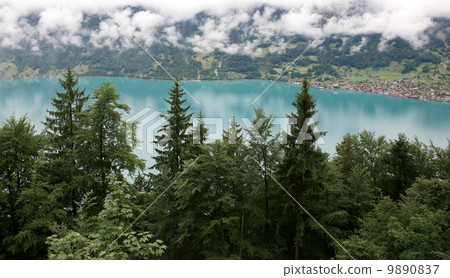 Beautiful turquoise lake Brienz in alpine mist 9890837