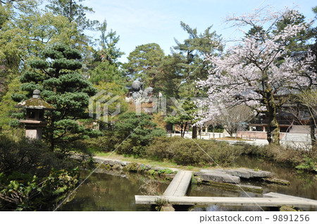 金澤大山神社的花園 金澤大山神社的花園 9891256
