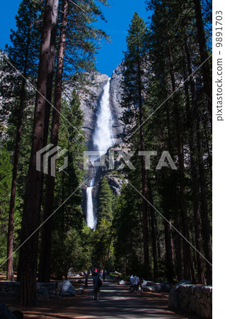 Yosemite Falls 9891703