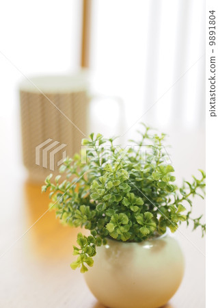 桌子 桌子 9891804