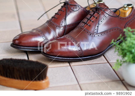 shoe polish 9891902