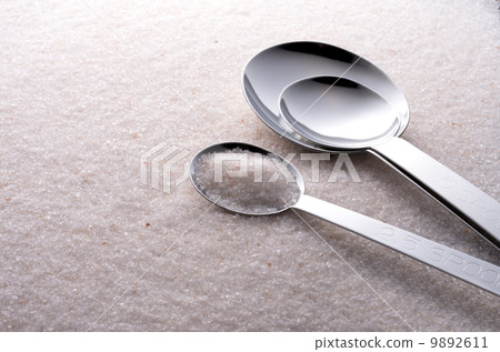 salt  9892611