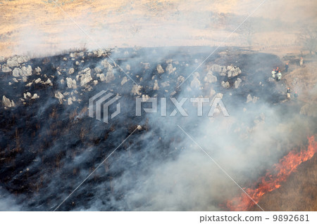 Field burning Akiyoshidai 9892681