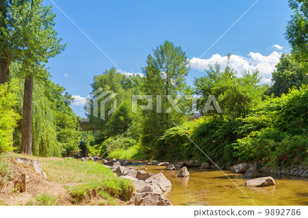 The mountain river in canyon in Baden-Baden. Europe, 9892786