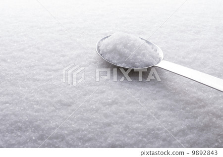 salt  9892843