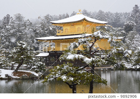 做雪的金閣寺（京都市北區） 9892906