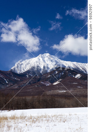 Yatsugatake山在冬天 9892997