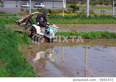 Rice planting landscape Rice planting landscape 9893355