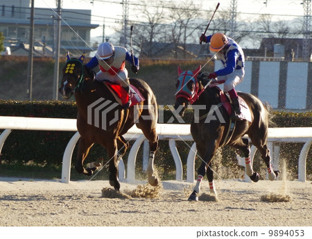 飛鏢賽馬 9894053