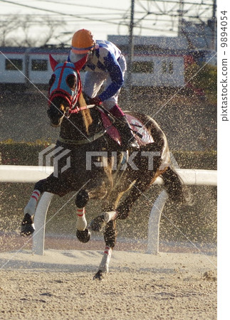 Dart horse race 9894054