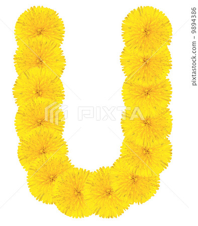 Letter U made from dandelions 9894386