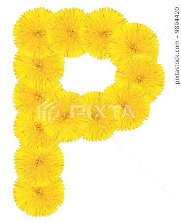 Letter P made from dandelions Letter P made from dandelions 9894420