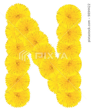 Letter N made from dandelions 9894422