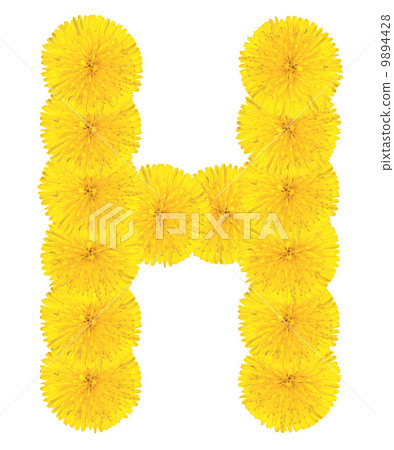 Letter H made from dandelions Letter H made from dandelions 9894428