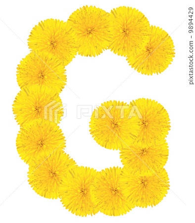 Letter G made from dandelions Letter G made from dandelions 9894429