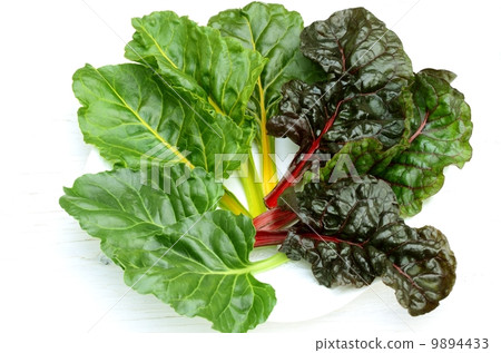 瑞士甜菜 瑞士甜菜 9894433