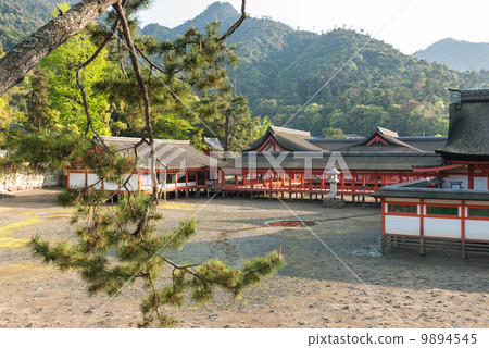 嚴島神社 嚴島神社 9894545