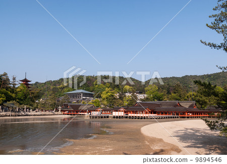 嚴島神社總部大廳 嚴島神社總部大廳 9894546