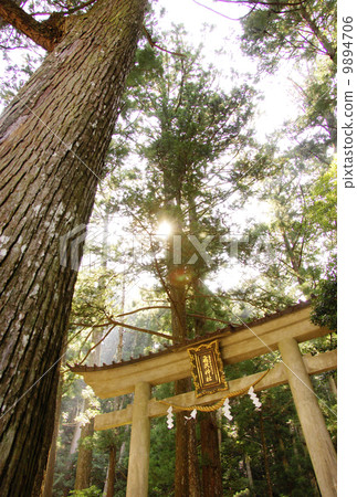 Futaki Shrine 9894706