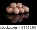 Egg 9895193