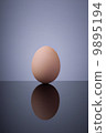 An egg 9895194