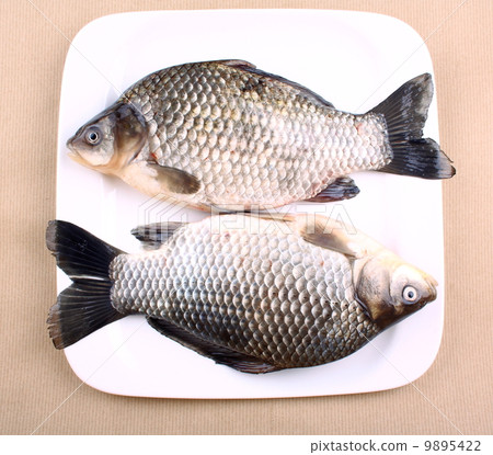 two fresh fish carp on white plate
